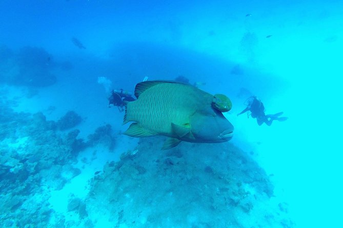Intro Scuba Diving