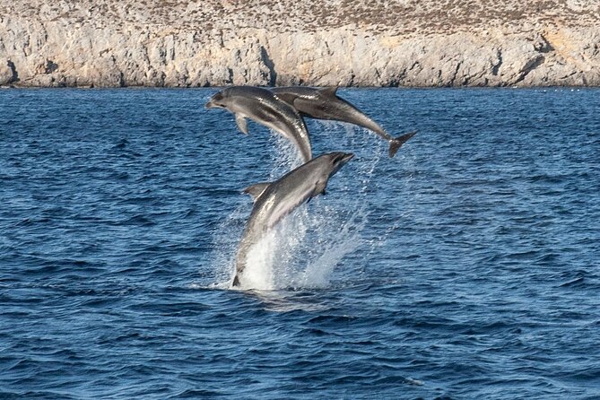 Iraklia and Schinoussa Day Cruise From Naxos With Lunch - Inclusions and Exclusions