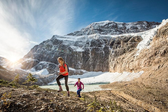 Jasper To Lake Louise One-way Tour 