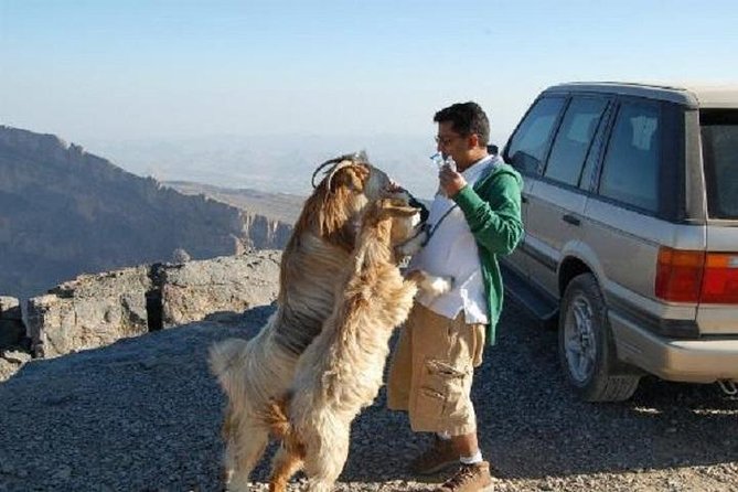 Jebel Shams Day Trip: The Grand Canyon of Oman - Overview of Jebel Shams