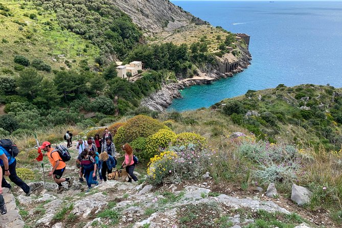 Jeranto Bay Walking Tour With a Private Guide Review