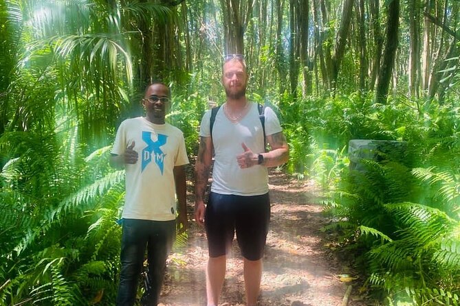 Jozani Forest Tour