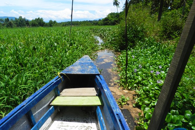 Jungle Coyuca Lagoon Boat Ride Experience & Baby Turtle Release - Overview of the Activity
