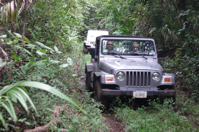 Jungle Jeep and Altun Ha Tour