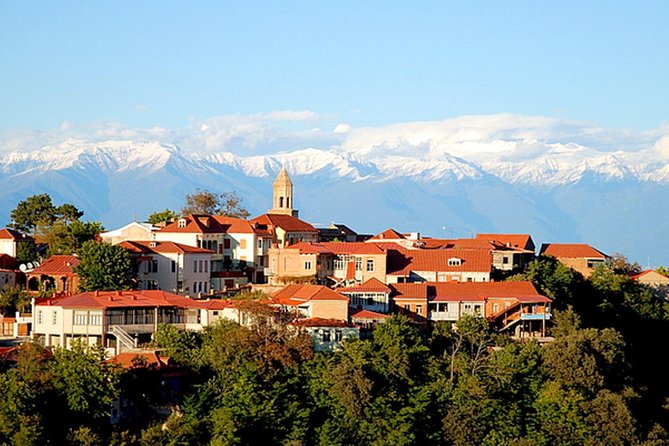 Kakheti Wine Tour Review: A Memorable Experience