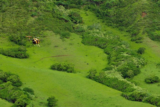 Kapolei: Doors-Off Helicopter Waterfall & Valley Explorer - Overview of the Helicopter Experience