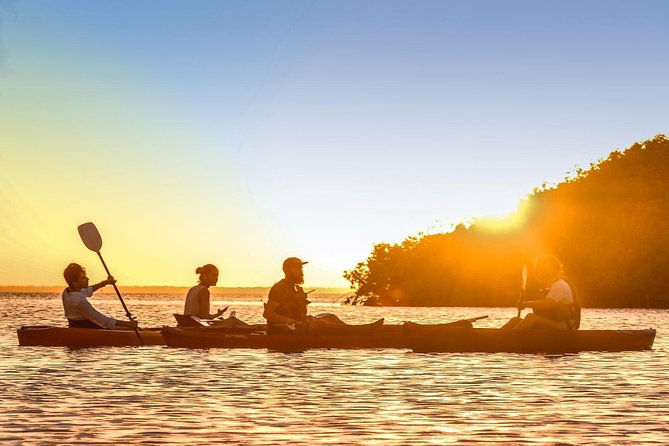 Kayak Adventure Through Laguna Nichupté in Cancun - Overview and Recommendations