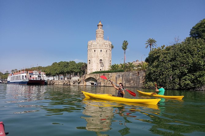 Kayak Guided Tours