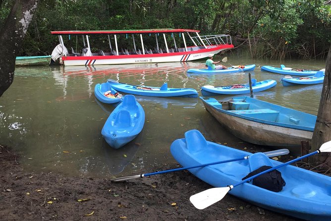 Kayak in the Mangrove