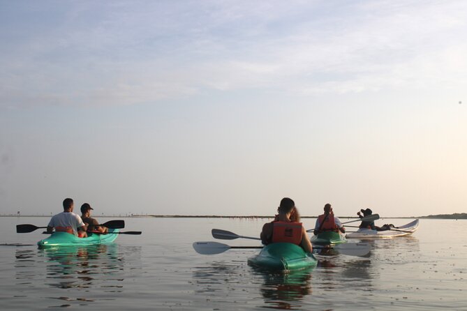 Kayak Mangroves Sunrise Experience