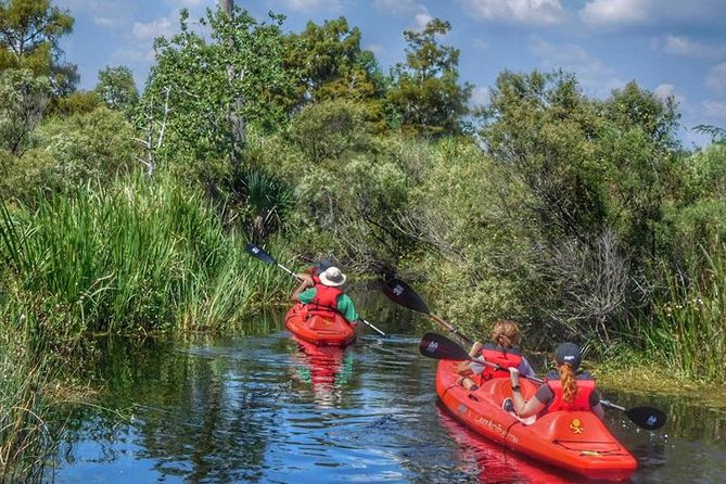 Kayak Swamp Tour With Transportation From New Orleans - Kayaking Equipment and Supplies