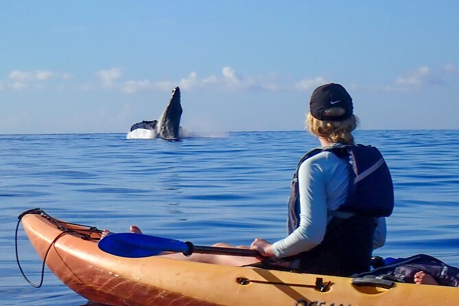 Kayak Whale Watching Tour (7am-10am)