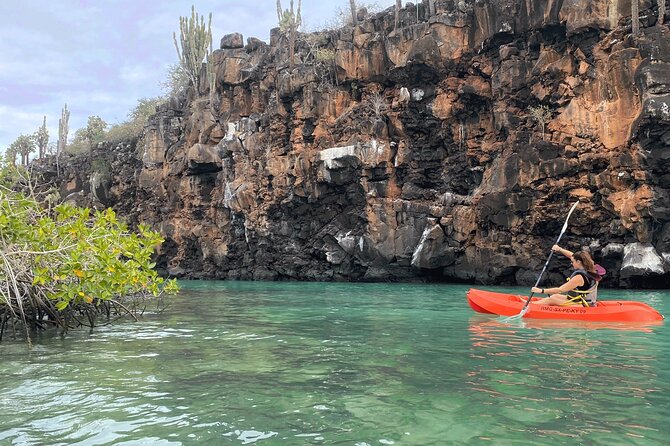 Kayaking Experience in Franklin Bay