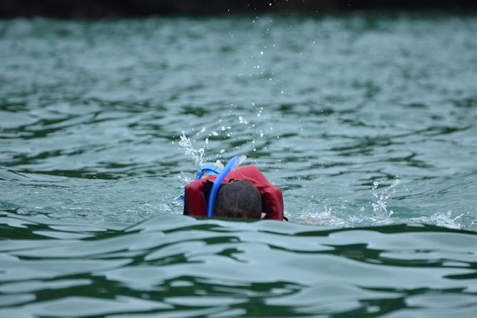 Kayaking & Snorkeling Tour From Manuel Antonio - Inclusions and Pricing