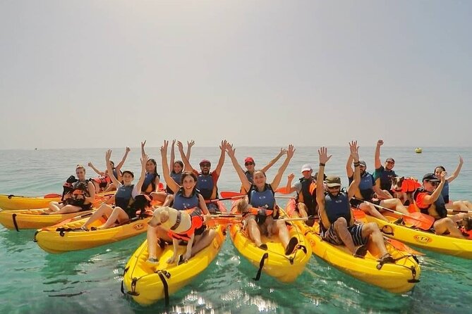 Kayaking With Dogs - Inclusions