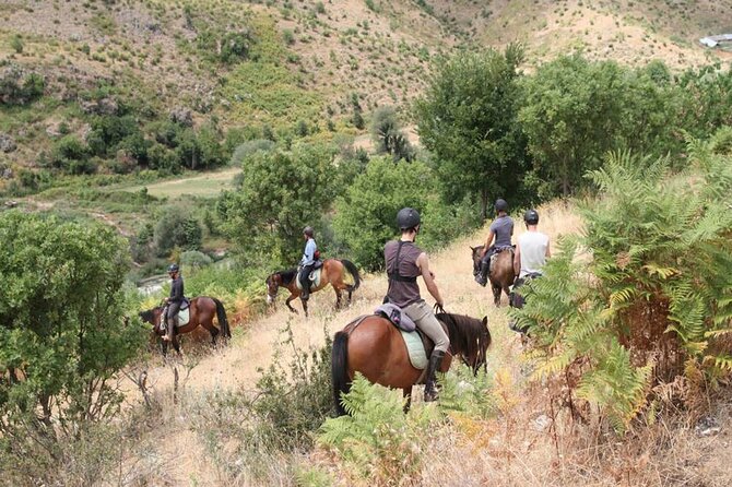 Kemer Horse Safari Experience With Free Hotel Transfer - Inclusions and Exclusions