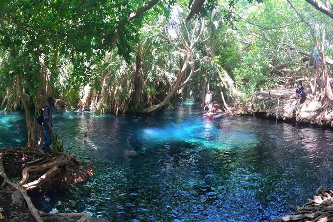 Kikuletwa Hot Spring Day Tour - Tour Overview