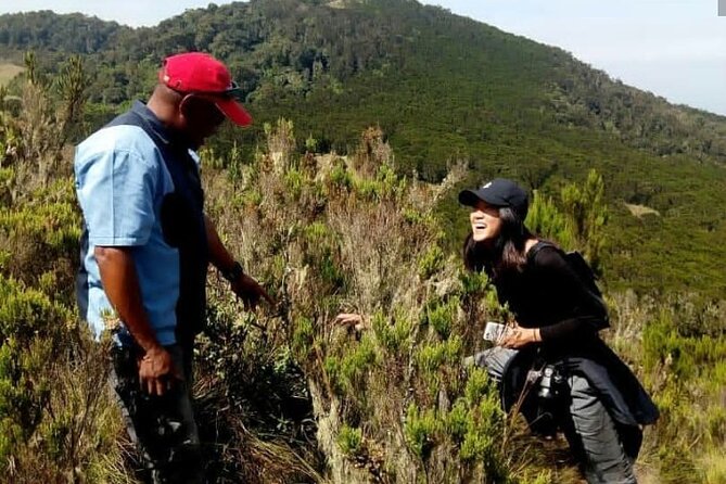 Kilimanjaro 1 Day Hike - Explore Mount Kilimanjaros Marangu Route