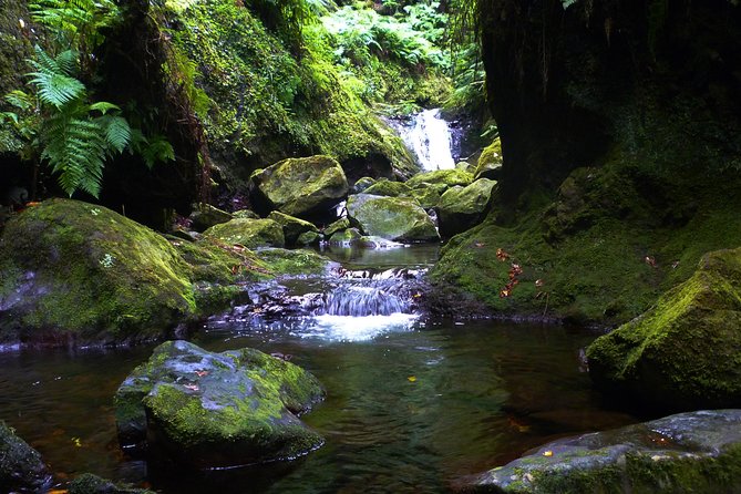 Kings Levada / Ribeiro Bonito
