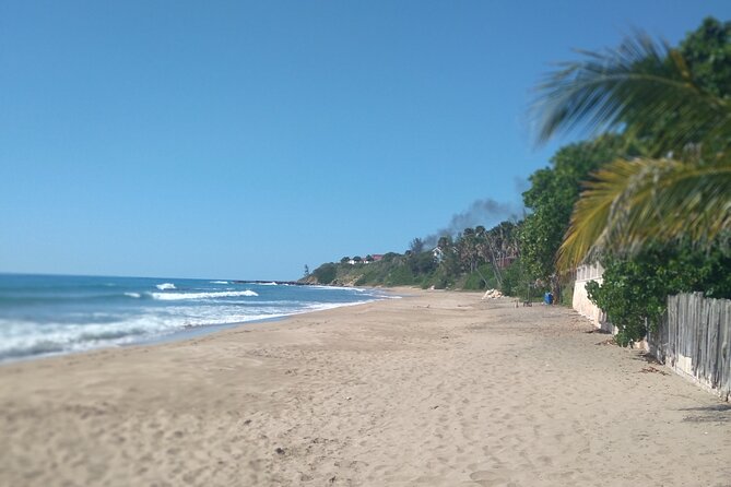 Kingston NMIA to Locations in St Elizabeth (Treasure Beach)