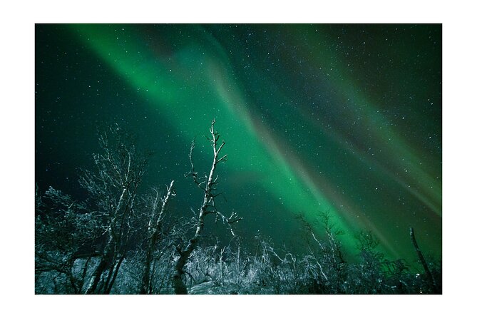 Kiruna -Abisko Aurora Tour With Local Guide