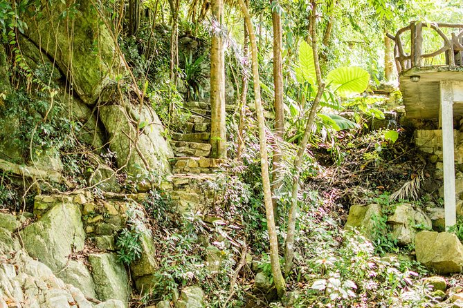 Ko Samui Island Full-Day Cultural Experience With Pickup