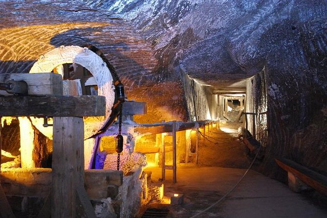 Krakow: Auschwitz-Birkenau and Salt-Mine With Private Transport