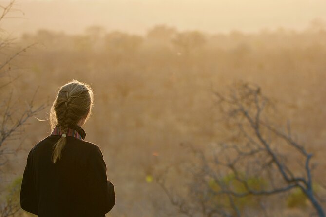 Kruger National Park Guided Day Tour Including Hotel Pick-Up and Drop-Off
