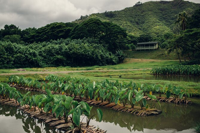 Kualoa Ranch: Malama Experience Tour