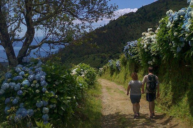 Lagoa Do Fogo Trail Full-Day Walking Tour With Lunch