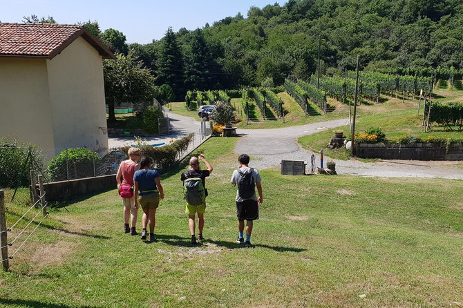 Lake Como Rebels: Adventure Day in Spina Verde Regional Park