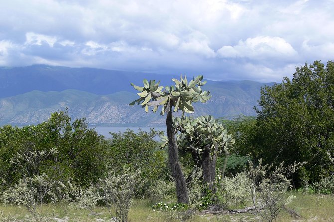 Lake Enriquillo
