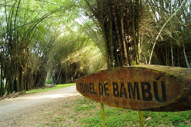 Lancetilla Botanical Garden From San Pedro Sula - Overview of the Tour