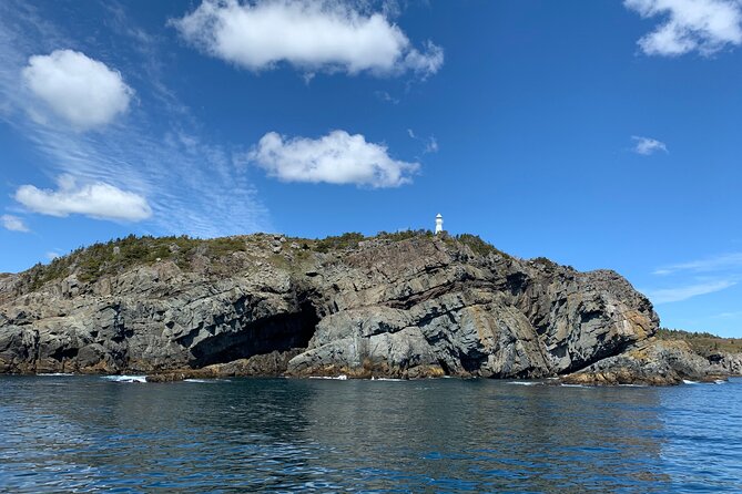 Late Season Puffin & Scenic Coastal Cruise