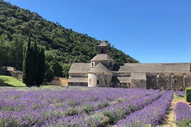 Lavender Fields Visit With Private Transportation  – Marseille