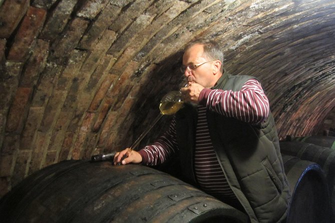 Lednice and Valtice Moravian Wine Tasting Tour  – Brno
