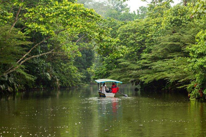 Let Me Show YOU: the Amazon & Baños City in 2 Days From Quito - Explore the Ecuadorian Amazon