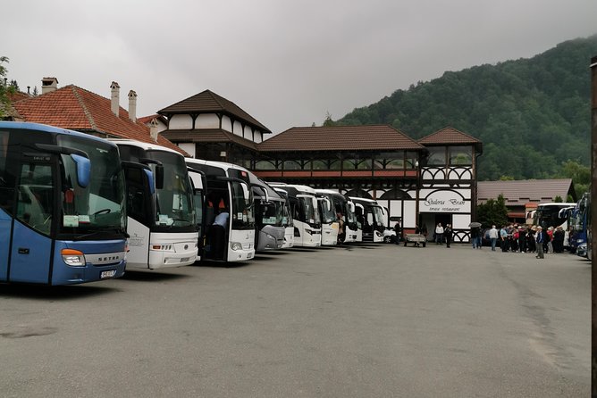 Libearty Brown Bears Sanctuary & Dracula Castle in One Day!