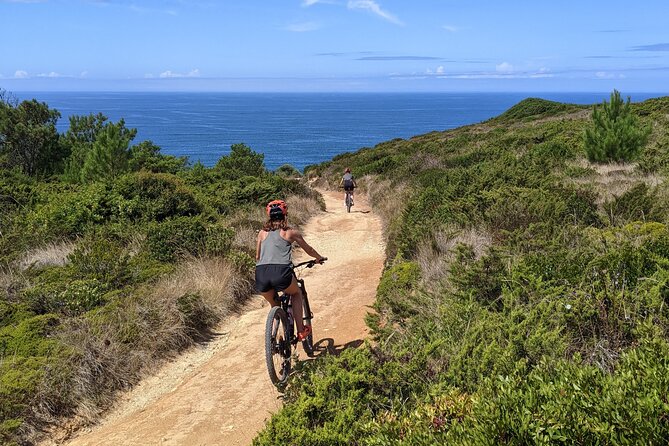 Lizandro Trails – Mountain Biking
