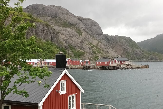 Lofoten VIP PRIVATE Tour From Leknes City / Port