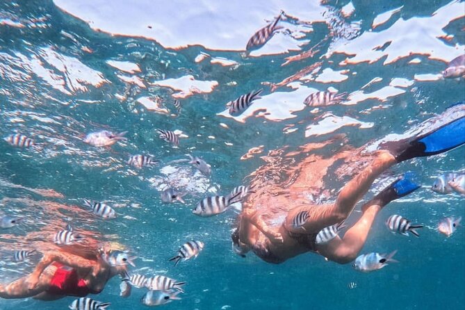 Lovina Sunrise Dolphin With Option Snorkeling and Waterfall - Overview of the Tour