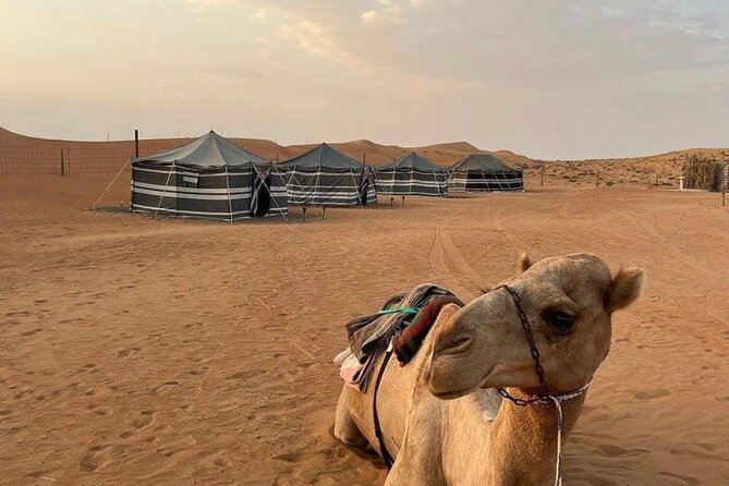 Luxury Overnight Desert Safari in Salalah - Desert Safari Overview