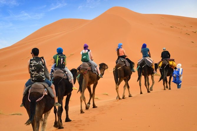 Luxury Private 4-Day Camel Trekking and Kasbah Trail From Marrakech