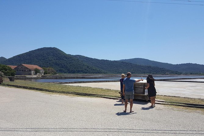 Luxury Private Transfer Split - Dubrovnik With Lunch in Ston - Overview of the Private Transfer