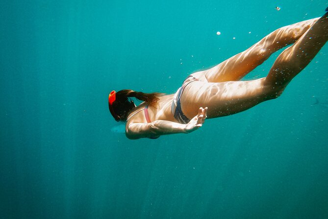 Luxury Snorkel Adventure in Cabo - Overview and Experience