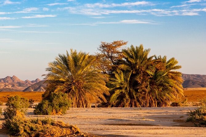 Luxury Sunset Safari to the Oasis & Starlit Dinner From Hurghada - Tour Overview