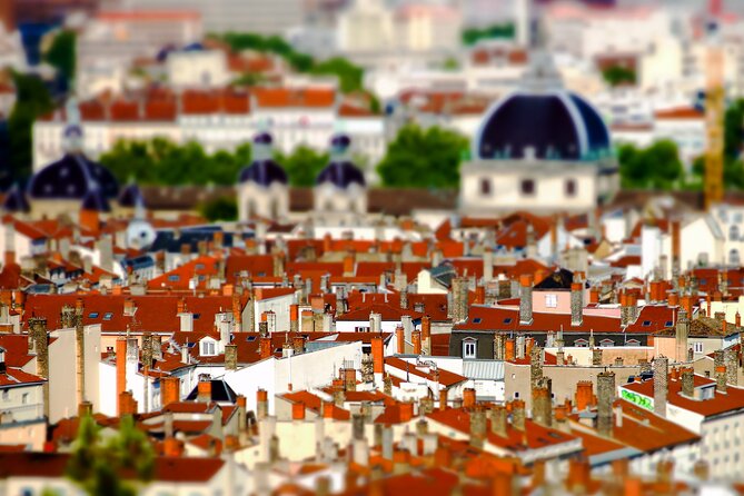 Lyon UNESCO: Private Walking Tour