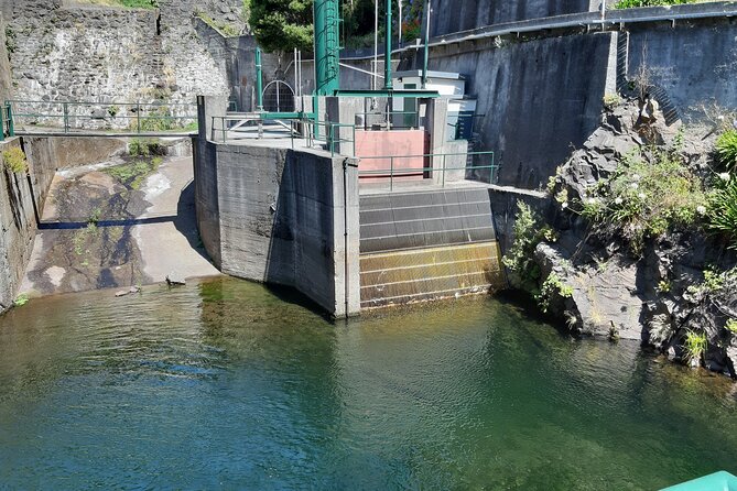 Madeira: Private Laurisilva Tour