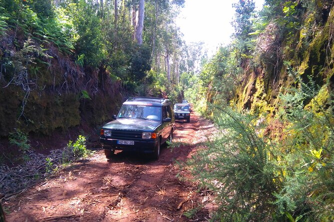 Madeira Safari - East of the Island - Tour Overview