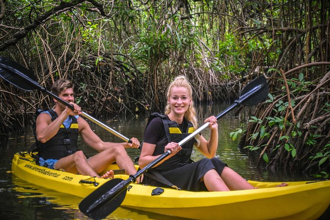 Madu River Sunrise Mangrove Kayaking